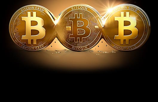 Coin bitcoin slot jar lids